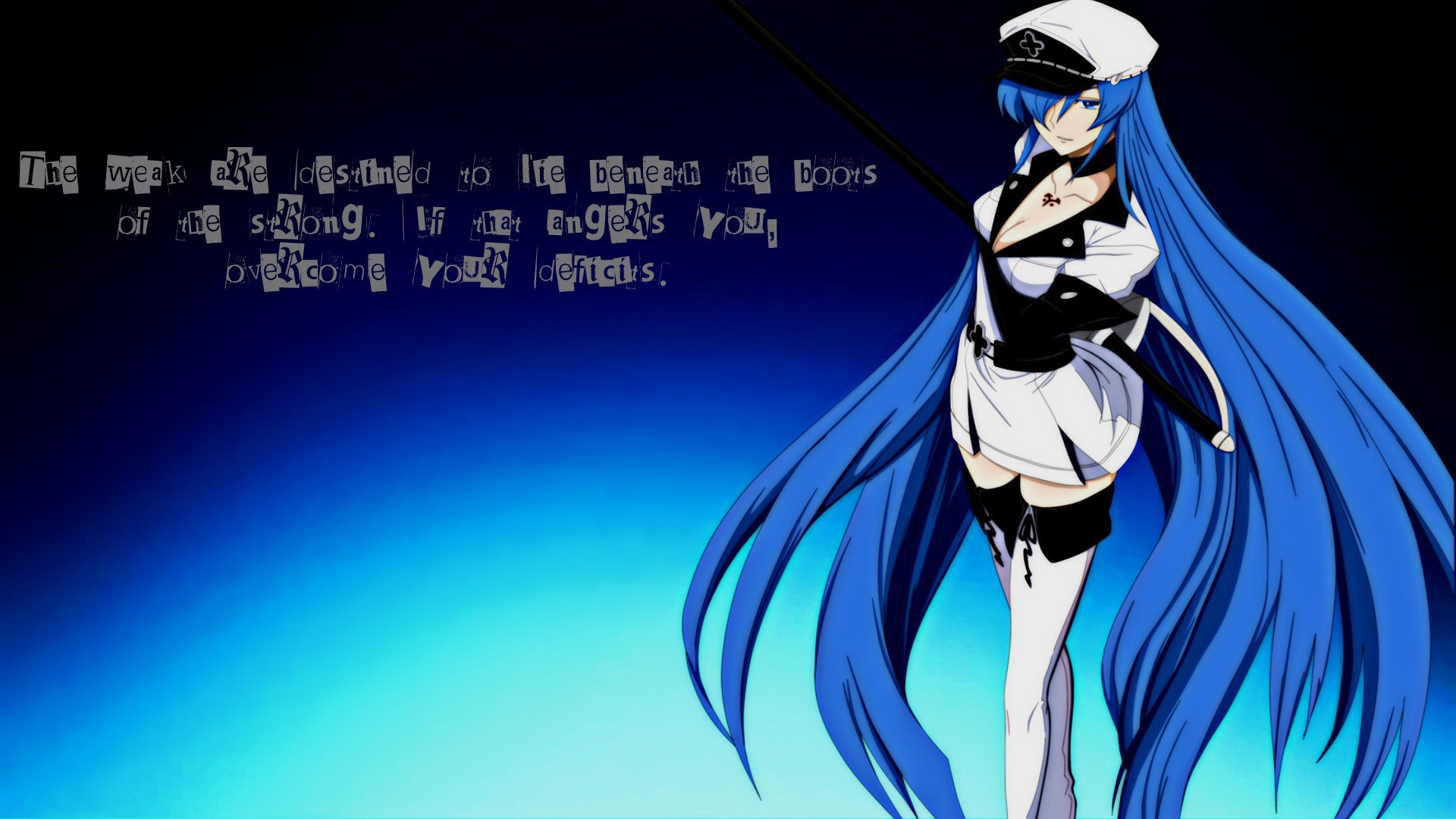 blue, Anime girls, Anime, Akame ga Kill!, Esdeath Wallpapers HD / Desktop a...
