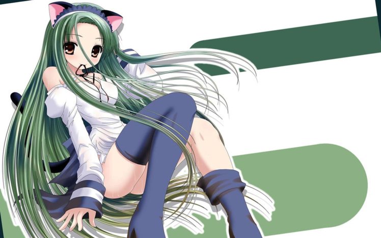 anime, Anime girls, Green hair, Thigh highs, The Melancholy of Haruhi Suzumiya, Tsuruya HD Wallpaper Desktop Background