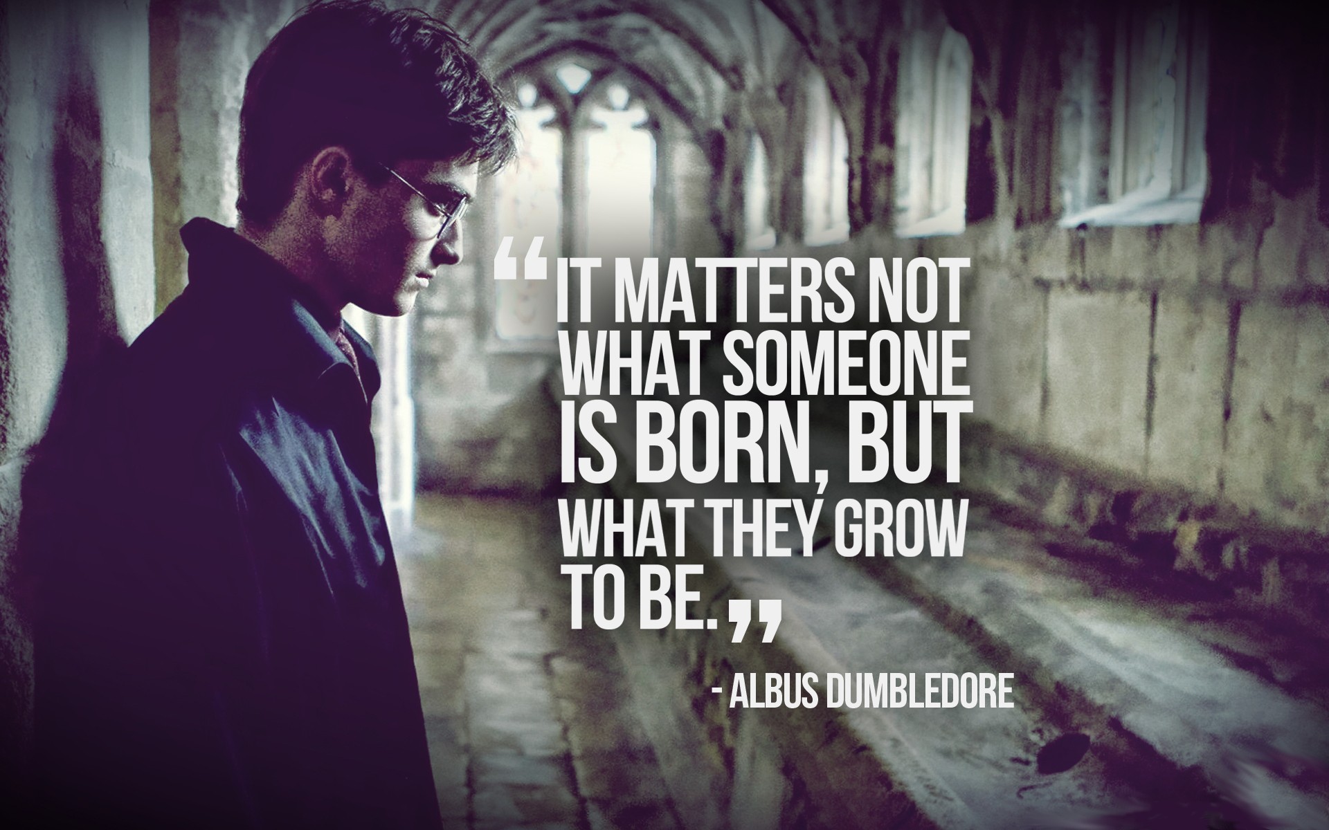 quotes, Harry, Potter, Philosophy, Daniel, Radcliffe, Albus, Dumbledore Wallpaper