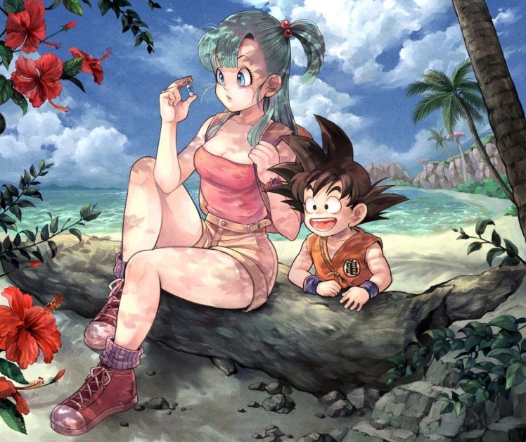 Dragon Ball Z, Bulma, Son Goku HD Wallpaper Desktop Background