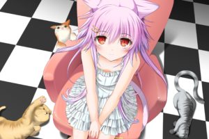 nekomimi, Long hair, Pink hair, Cat, Dress, Sitting, Anime girls, Original characters
