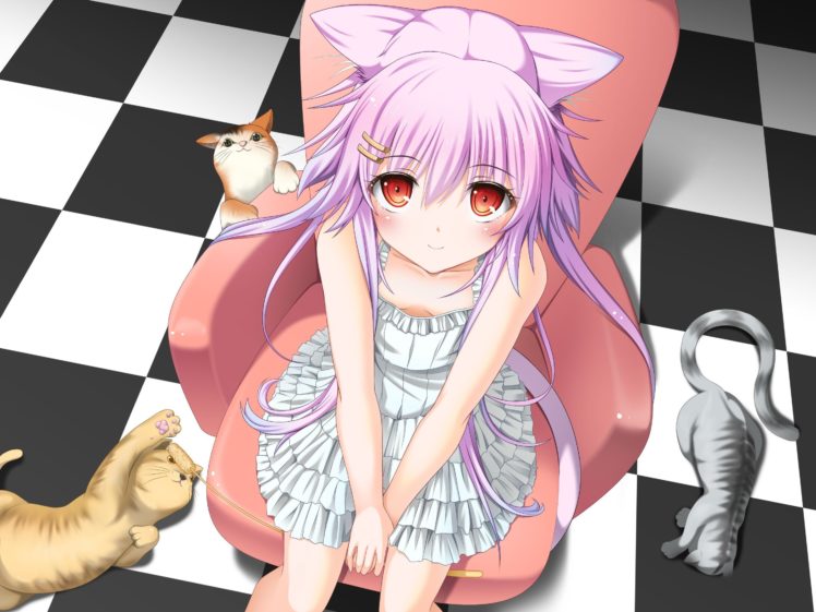 nekomimi, Long hair, Pink hair, Cat, Dress, Sitting, Anime girls, Original characters HD Wallpaper Desktop Background