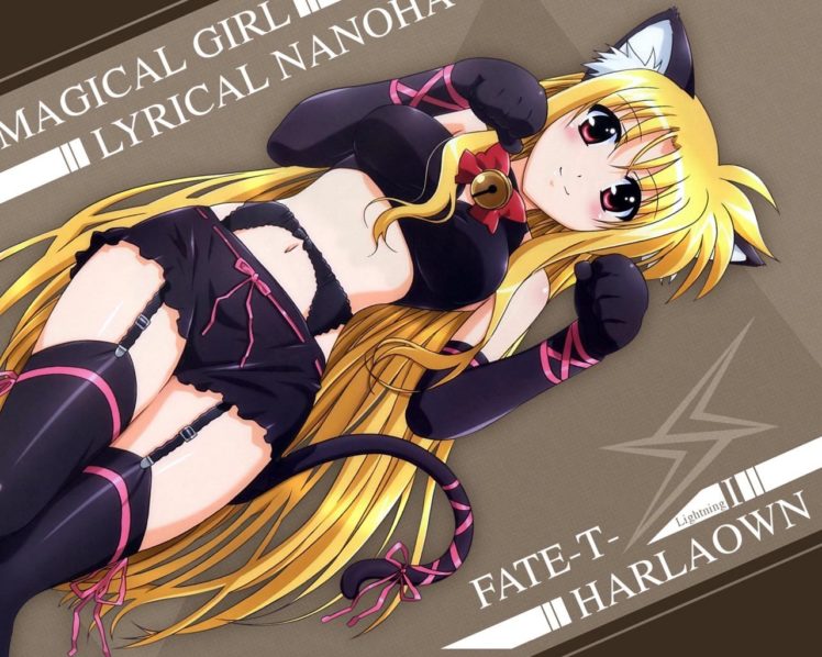 Mahou Shoujo Lyrical Nanoha, Fate Testarossa, Cat ears HD Wallpaper Desktop Background