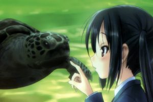 anime girls, K ON!, Nakano Azusa, Turtle