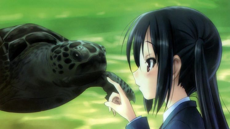 anime girls, K ON!, Nakano Azusa, Turtle HD Wallpaper Desktop Background