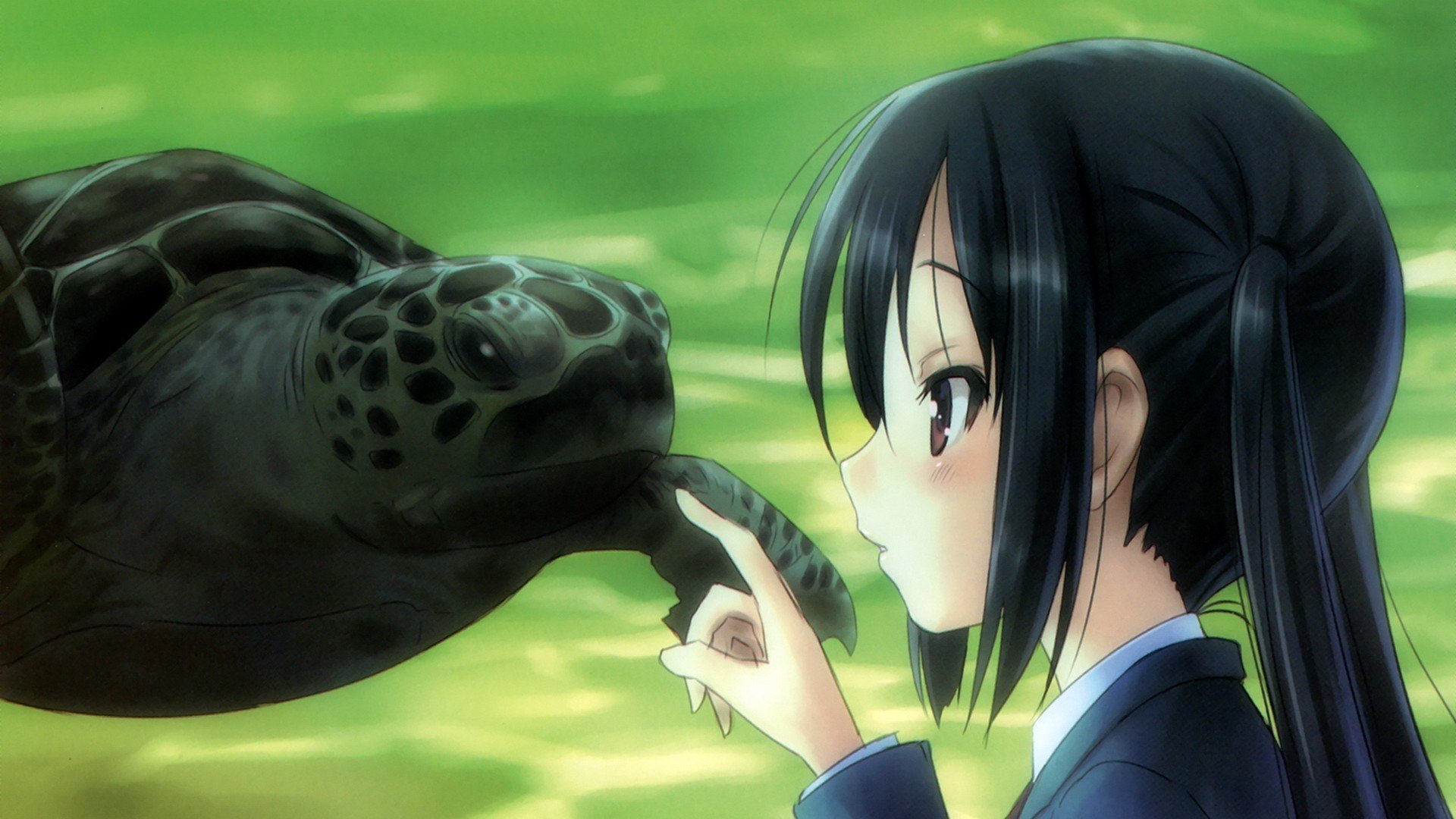 anime girls, K ON!, Nakano Azusa, Turtle Wallpaper