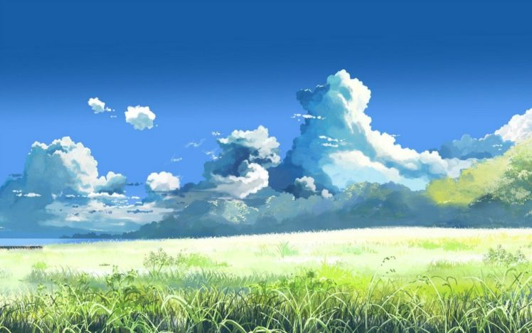 Makoto Shinkai, 5 Centimeters Per Second, Field, Clouds HD Wallpaper Desktop Background
