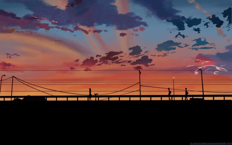 power lines, Makoto Shinkai, 5 Centimeters Per Second, Sunset, Silhouette, Utility pole HD Wallpaper Desktop Background
