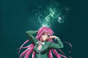 long hair, Anime girls, Akashiya Moka, Rosario + Vampire