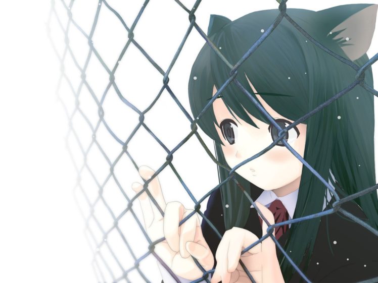 anime girls, Nekomimi, Animal ears, Original characters HD Wallpaper Desktop Background