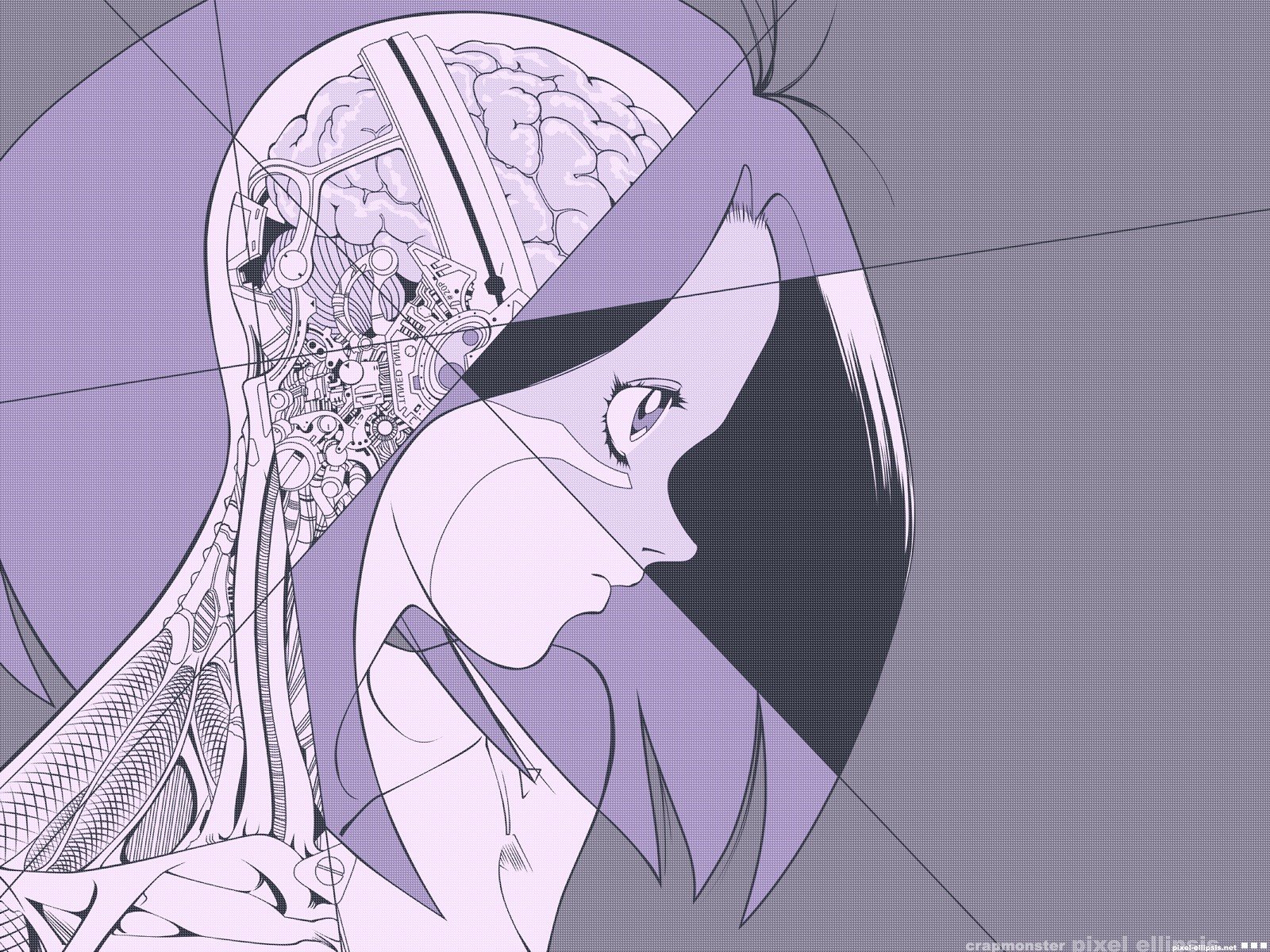 anime, Battle Angel Alita, Anatomy, Brains, Gally Wallpaper