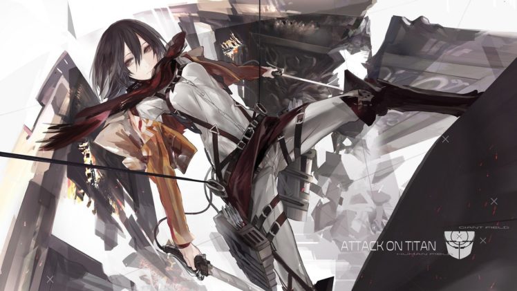 Shingeki no Kyojin, Anime, Anime girls, Mikasa Ackerman HD Wallpaper Desktop Background