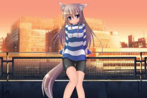 anime, Anime girls, Nekomimi, Original characters