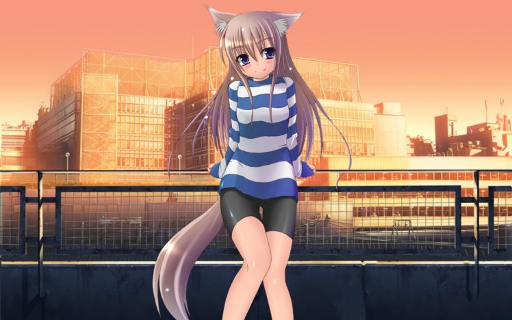 anime, Anime girls, Nekomimi, Original characters HD Wallpaper Desktop Background