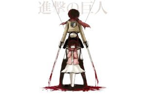 Shingeki no Kyojin, Mikasa Ackerman
