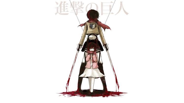 Shingeki no Kyojin, Mikasa Ackerman HD Wallpaper Desktop Background