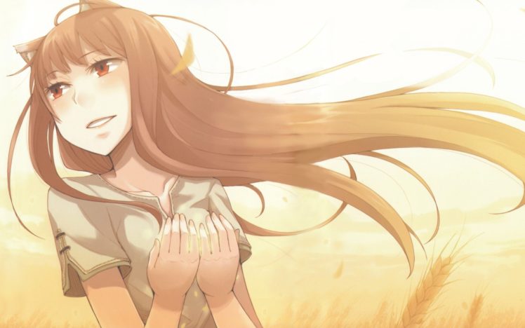 Holo, Spice and Wolf HD Wallpaper Desktop Background