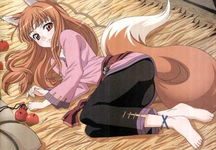 anime girls, Anime, Holo, Spice and Wolf HD Wallpaper Desktop Background