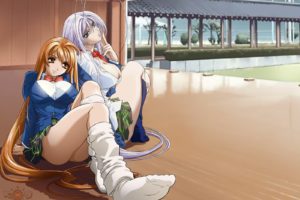 Anime wallpaper tenjou tenge 1280x800 56823 en