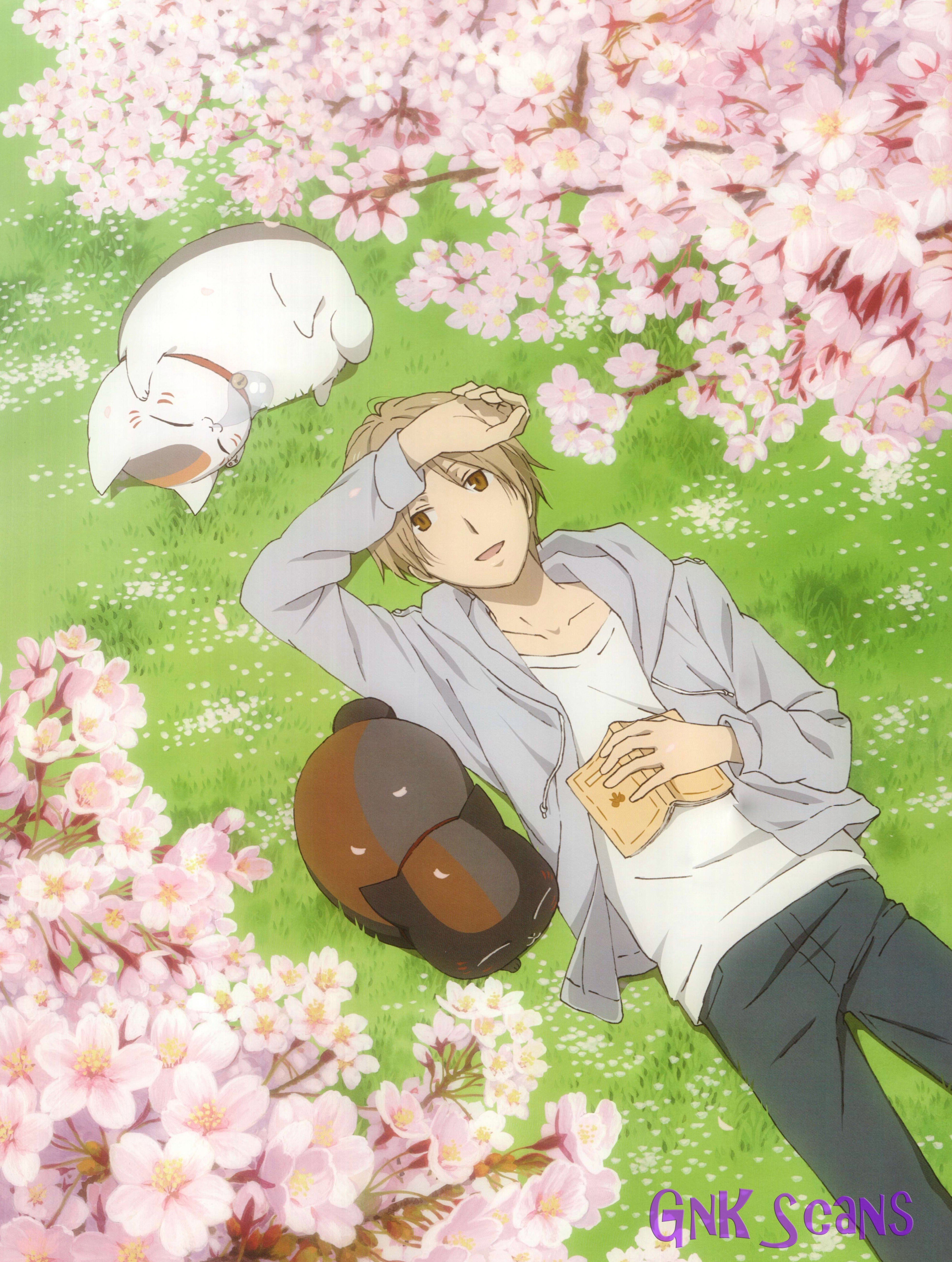 natsume book of friends anime