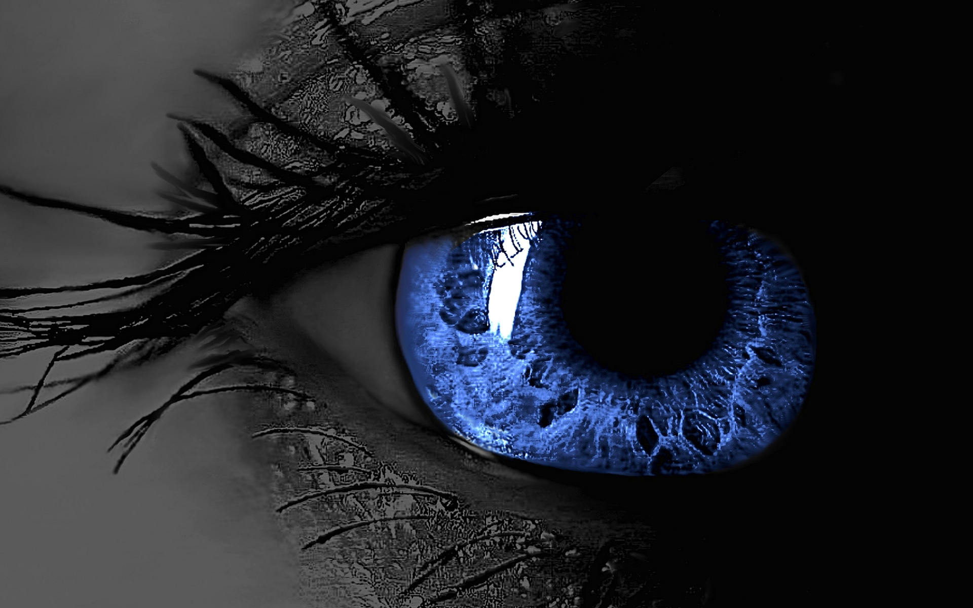 eyes Wallpaper