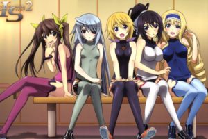 anime girls, Infinite Stratos, Shinonono Houki, Dunois Charlotte, Huang Lingyin, Bodewig Laura