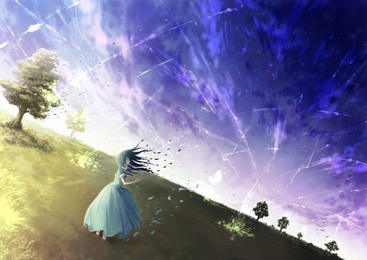 sky, Landscape, Dress, Anime, Field HD Wallpaper Desktop Background