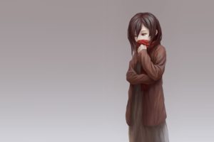 Shingeki no Kyojin, Mikasa Ackerman, Minimalism
