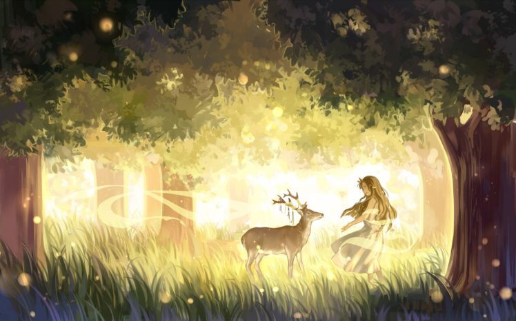 forest, Trees, Deer, Horns HD Wallpaper Desktop Background