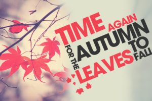 autumn,  season , Texts, Leaves, Typography, Grey, Background