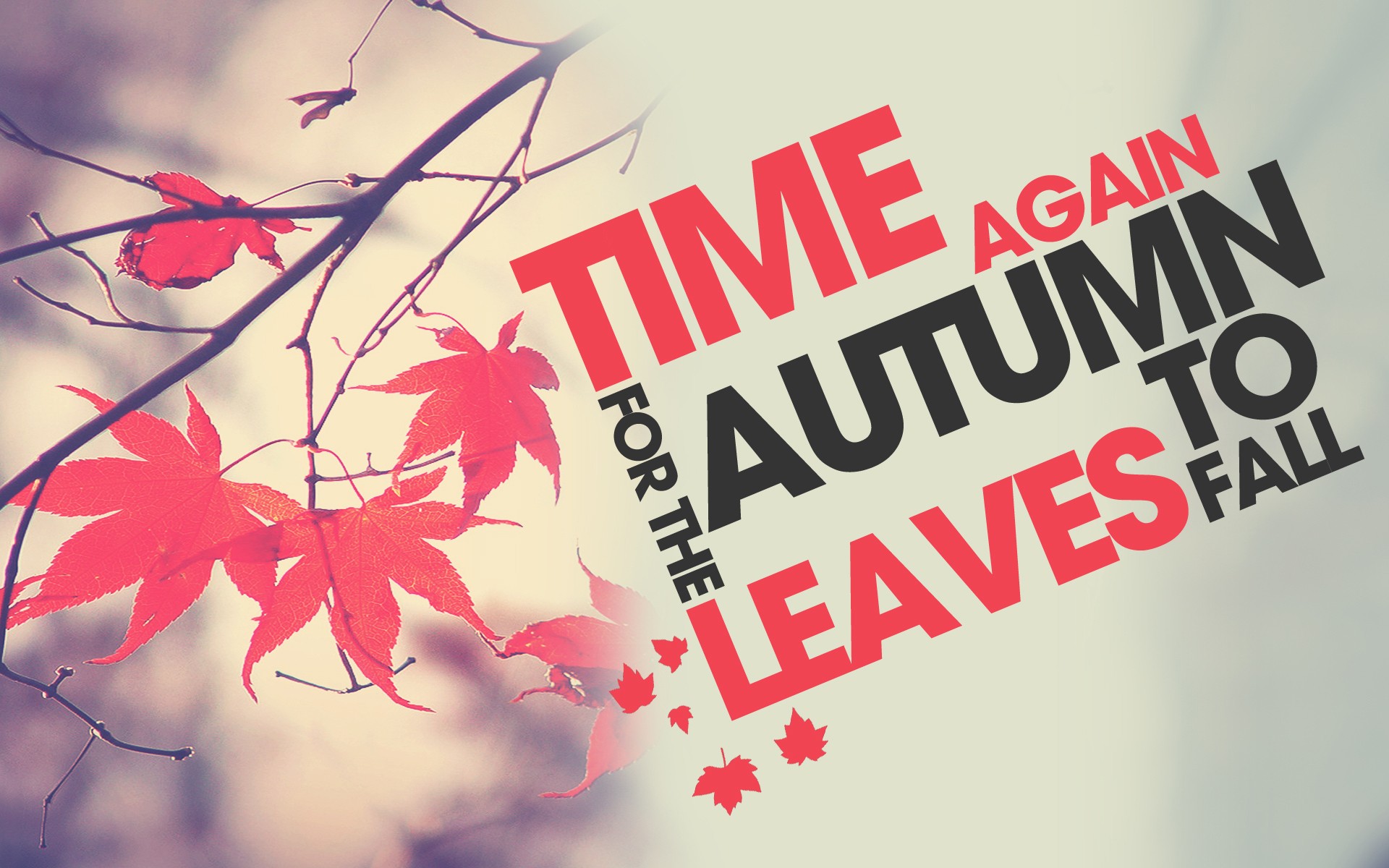 autumn,  season , Texts, Leaves, Typography, Grey, Background Wallpaper