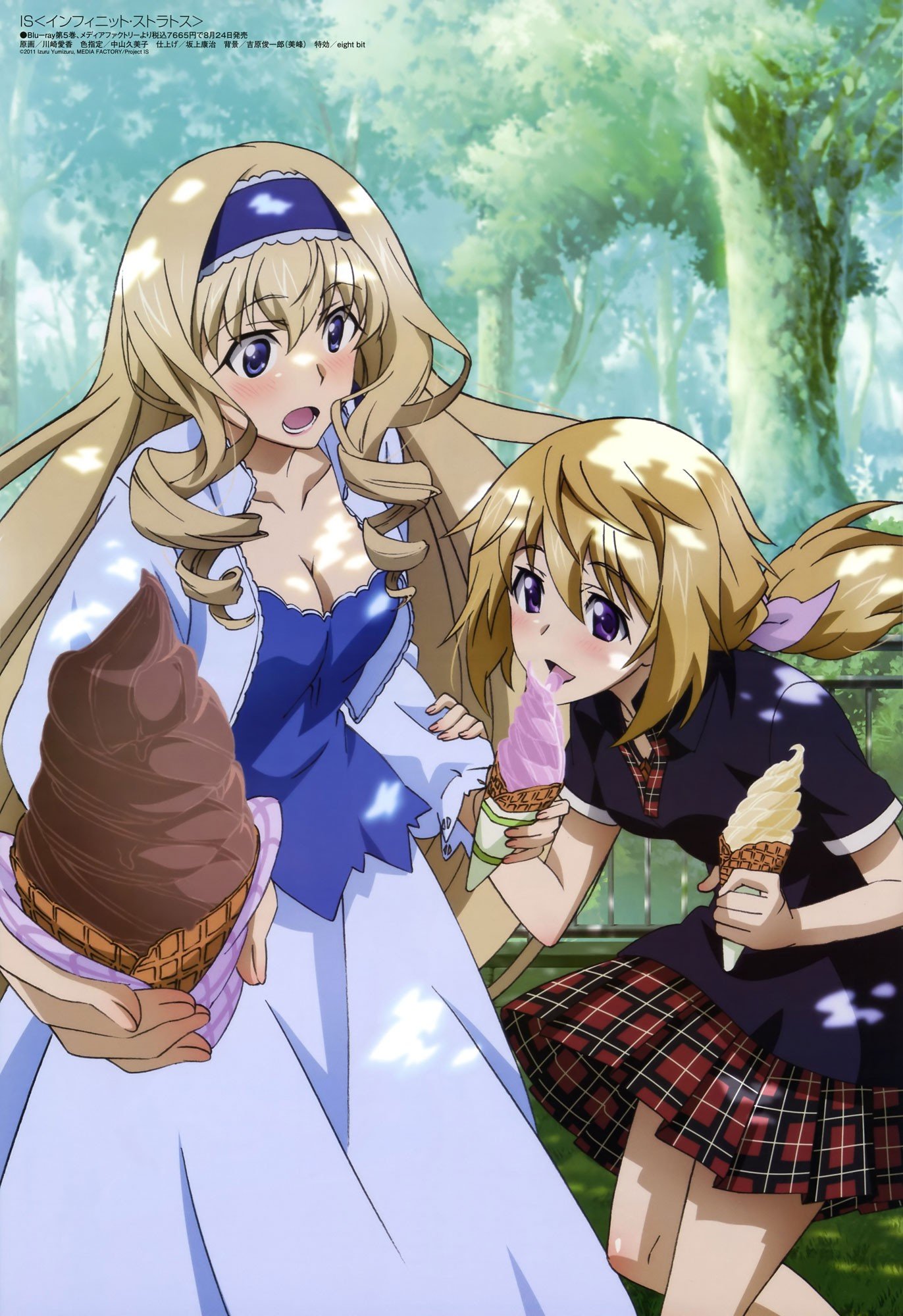 anime, Anime girls, Dunois Charlotte, Alcot Cecilia, Infinite Stratos Wallpaper