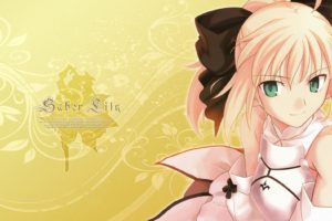 Saber, Fate Unlimited Codes, Fate Series, Saber Lily, Blonde, Green eyes