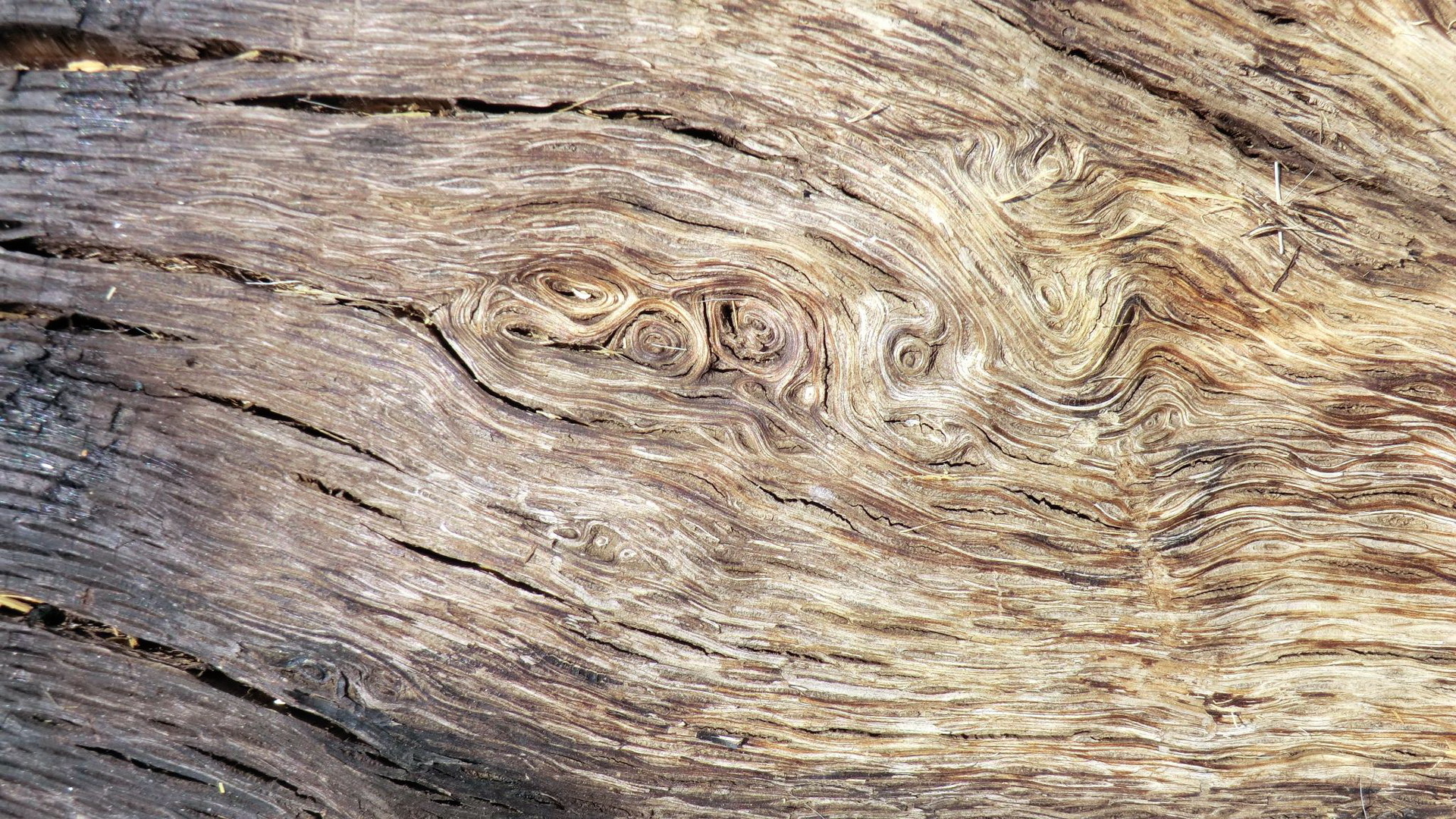 texture, Wood Wallpaper