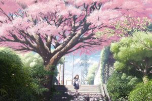 original characters, Cherry trees, Trees, Flower petals, Grass, Schoolgirls, School uniform, Cat, Ribbon, Anime girls, Anime, Stairs