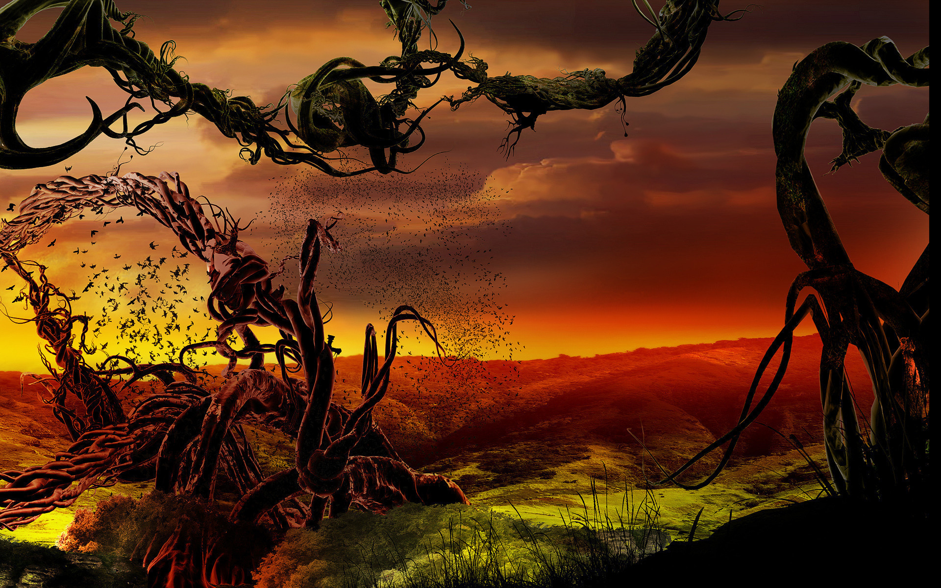 bird, Tree, Landscape, Sunset, Psychedelic Wallpaper