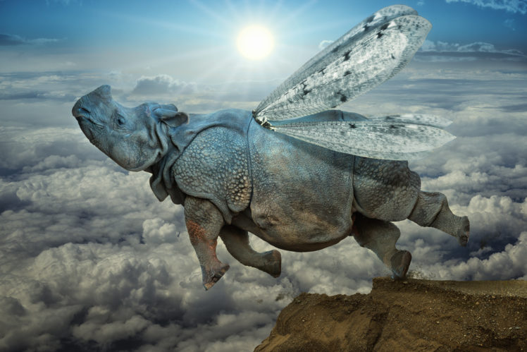 rhino, Jump, Wings, Clouds, Psychedelic HD Wallpaper Desktop Background