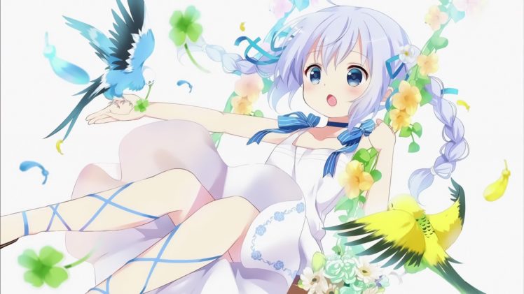 Gochuumon wa Usagi Desu ka?, Kafuu Chino, Anime girls, Birds HD Wallpaper Desktop Background