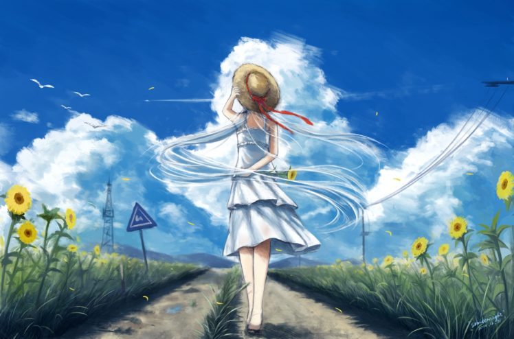 sunflowers, Clouds, Dress HD Wallpaper Desktop Background
