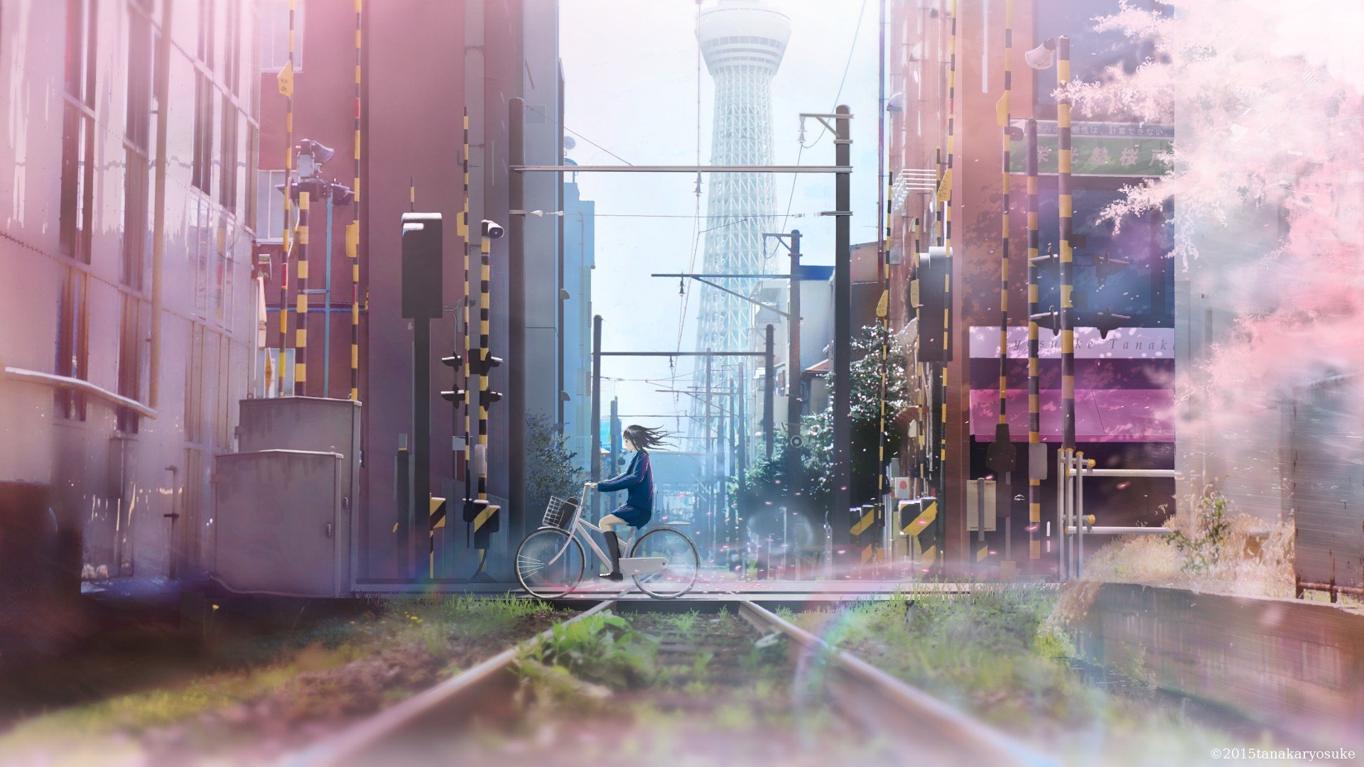 train, Bicycle, City Wallpaper