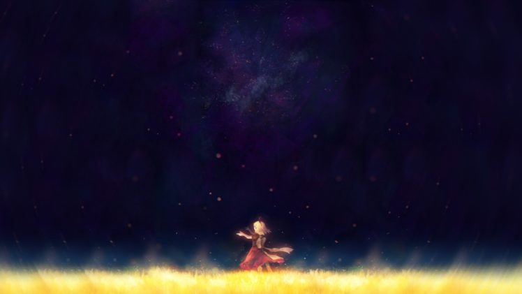 grass, Stars, Dress HD Wallpaper Desktop Background