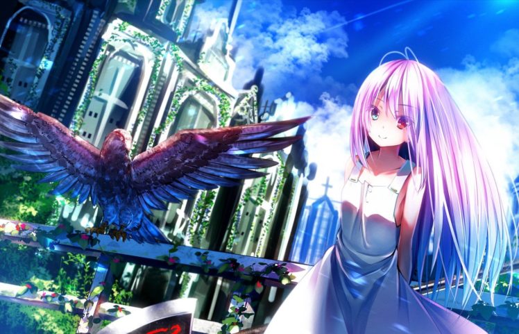 original characters, Long hair, Heterochromia, Birds, Church, Dress, Weapon, Sky, Clouds, Anime girls, Anime HD Wallpaper Desktop Background
