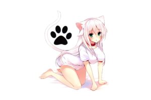 cat girl, Anime girls, Nekomimi