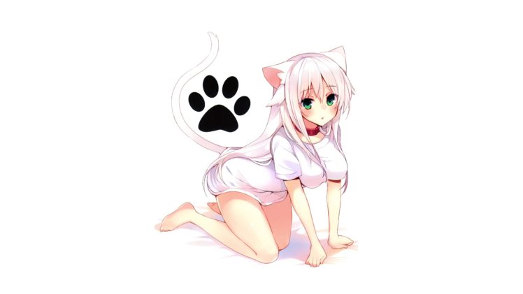 cat girl, Anime girls, Nekomimi HD Wallpaper Desktop Background