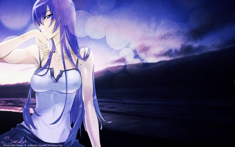 manga, Highschool of the Dead, Busujima Saeko HD Wallpaper Desktop Background