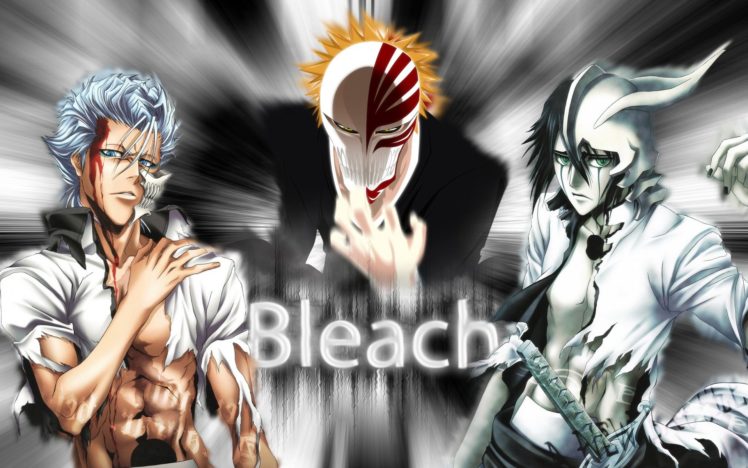anime, Kurosaki Ichigo, Bleach, Ulquiorra Cifer, Grimmjow Jaegerjaquez, Hollow, Espada HD Wallpaper Desktop Background