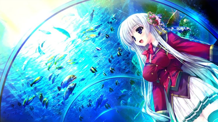 anime girls, Long hair, Aquarium HD Wallpaper Desktop Background