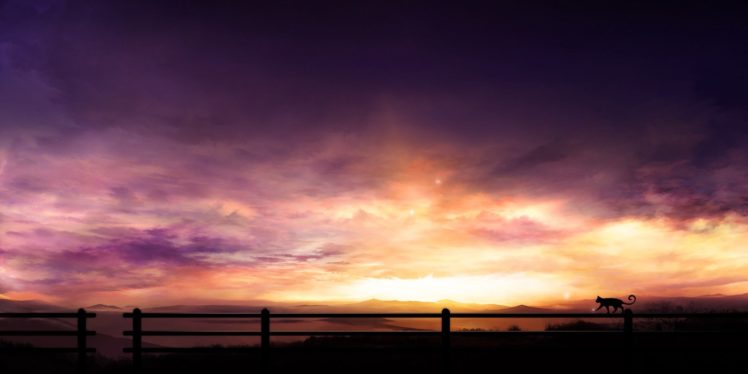 cat, Clouds, Landscape, Sunset HD Wallpaper Desktop Background