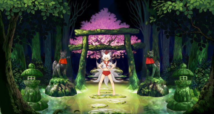 fox girl, White hair, Cherry blossom HD Wallpaper Desktop Background