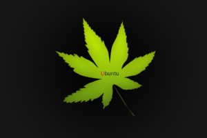leaves, Ubuntu, Marijuana, Hemp